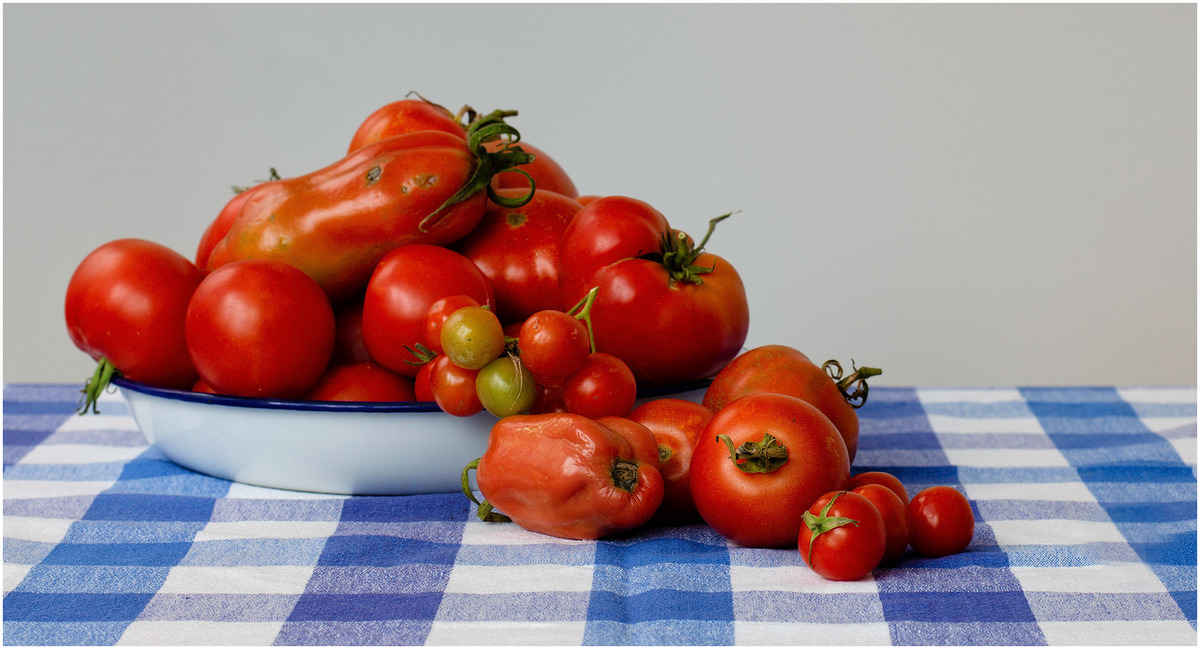 24 End of Summer Tomato Haul